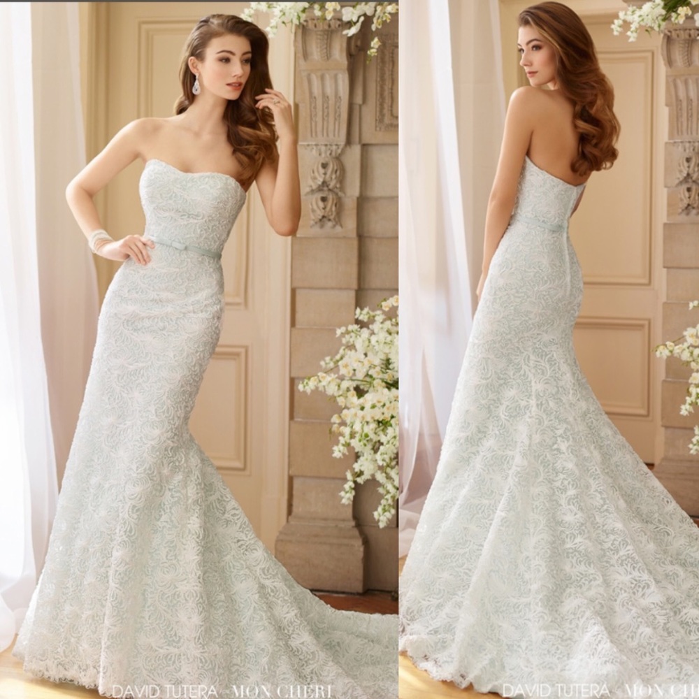 MON CHERI DAVID TUTERA WEDDING GOWN